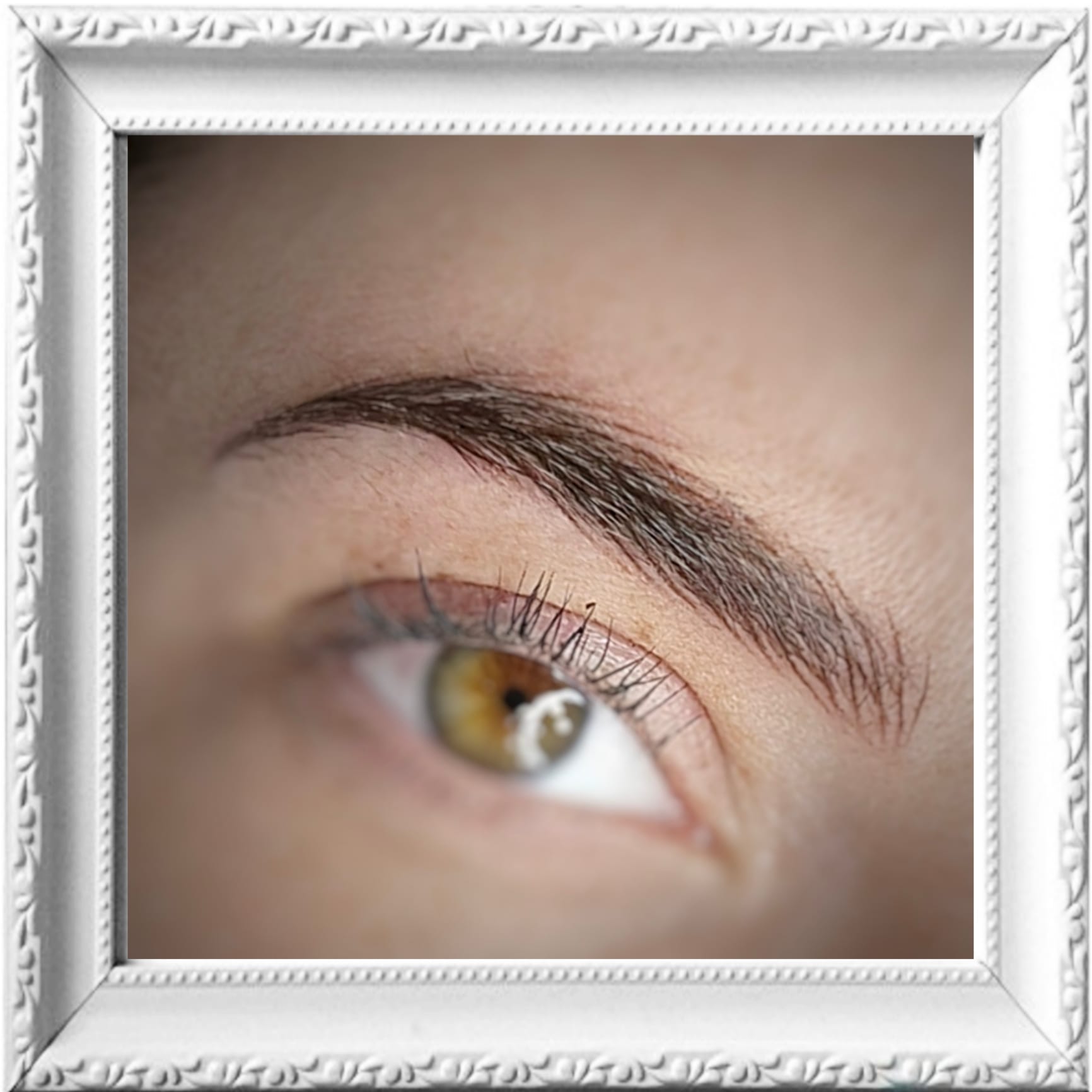 cejas